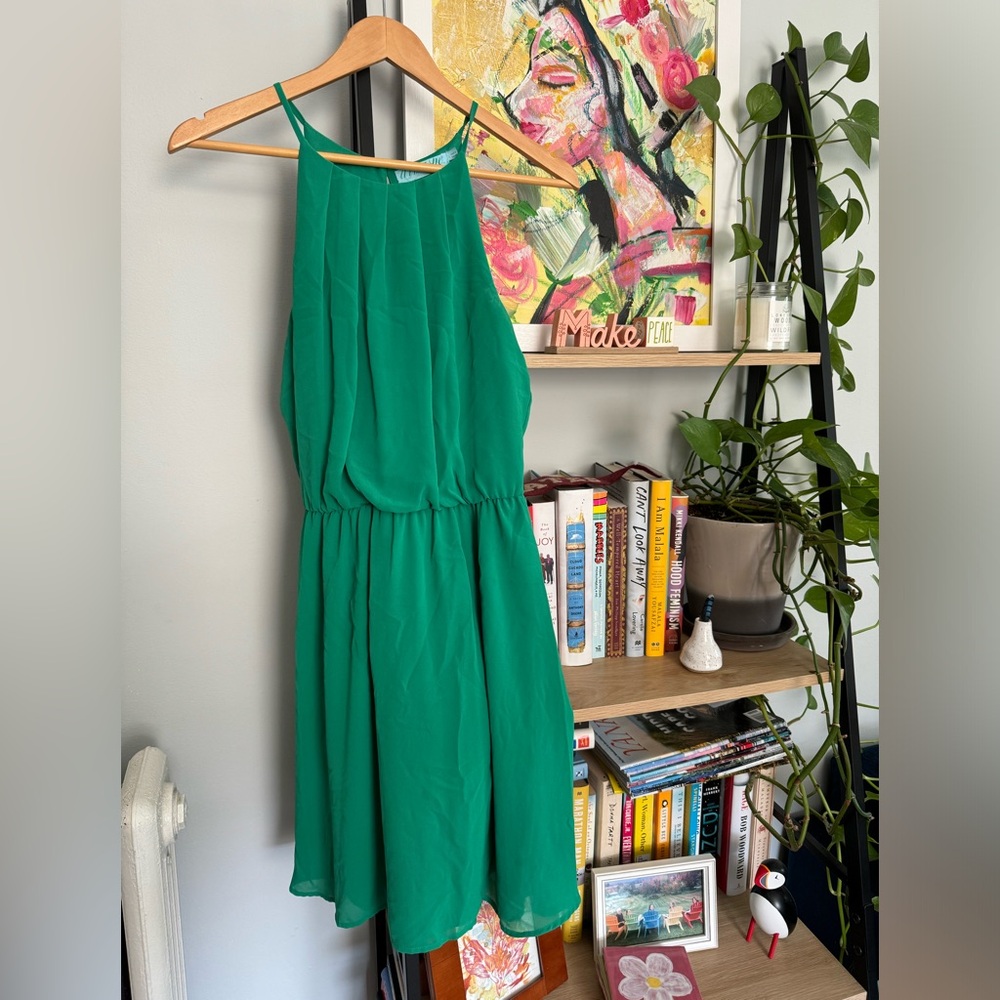 Francesca’s Green Chiffon Dress